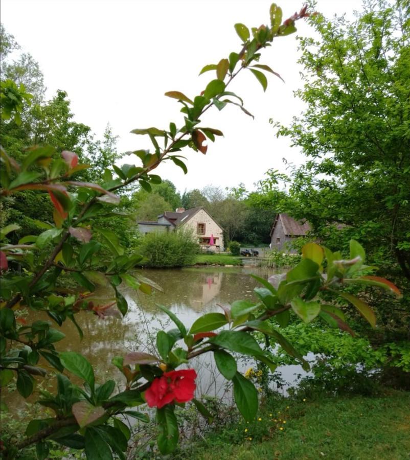24H Le Mans - Les Haies Gite, Near Le Mans Circuit Villa Coulans-sur-Gée Exteriör bild